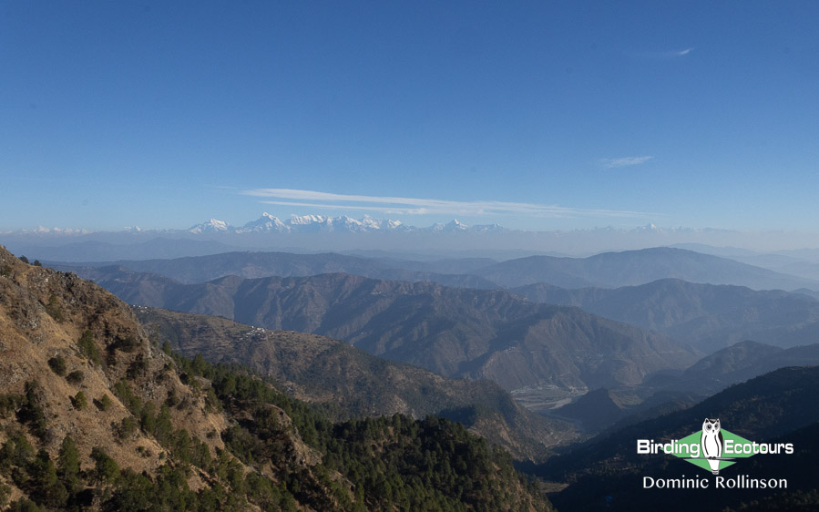 Northern India trip report