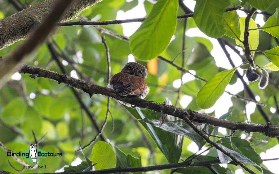 Sri Lanka Trip Report