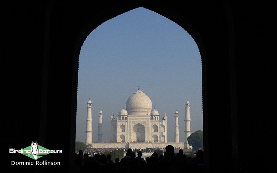 Northern India trip report