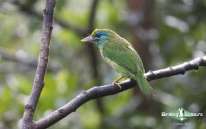 Sri Lanka Trip Report