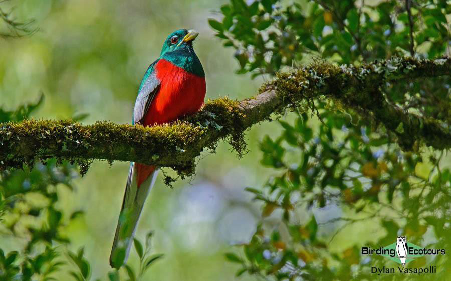 KwaZulu-Natal birding spots 